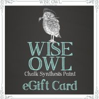 Wise Owl Paint eGift Card
