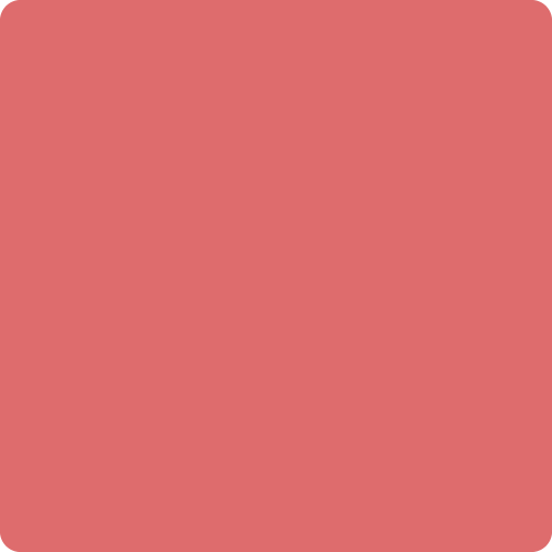 Begonia